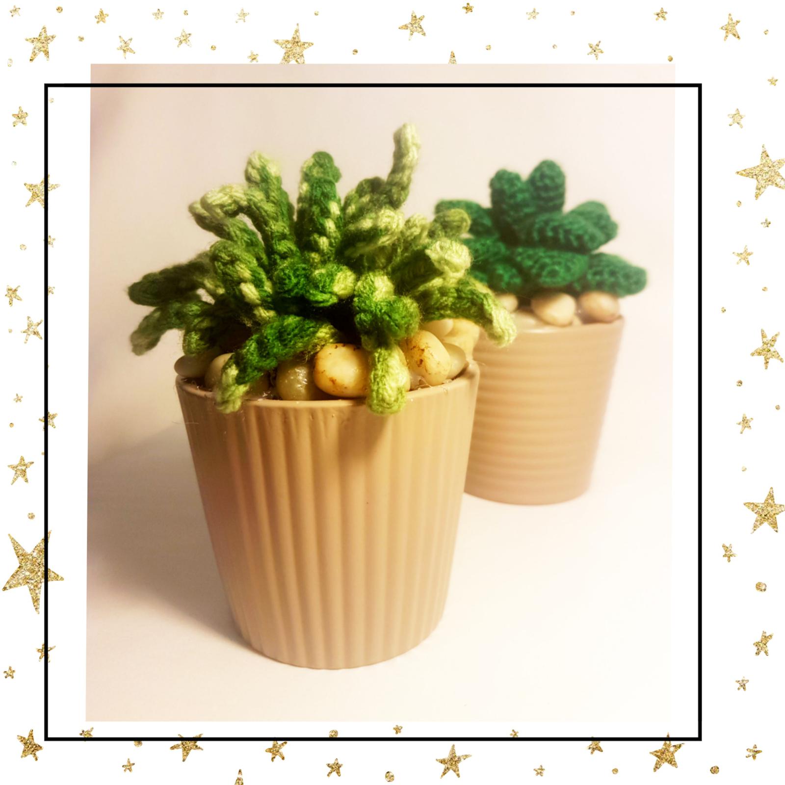 Crochet Succulent Plant
