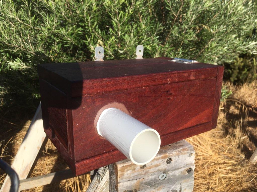 Pardalote Boxes