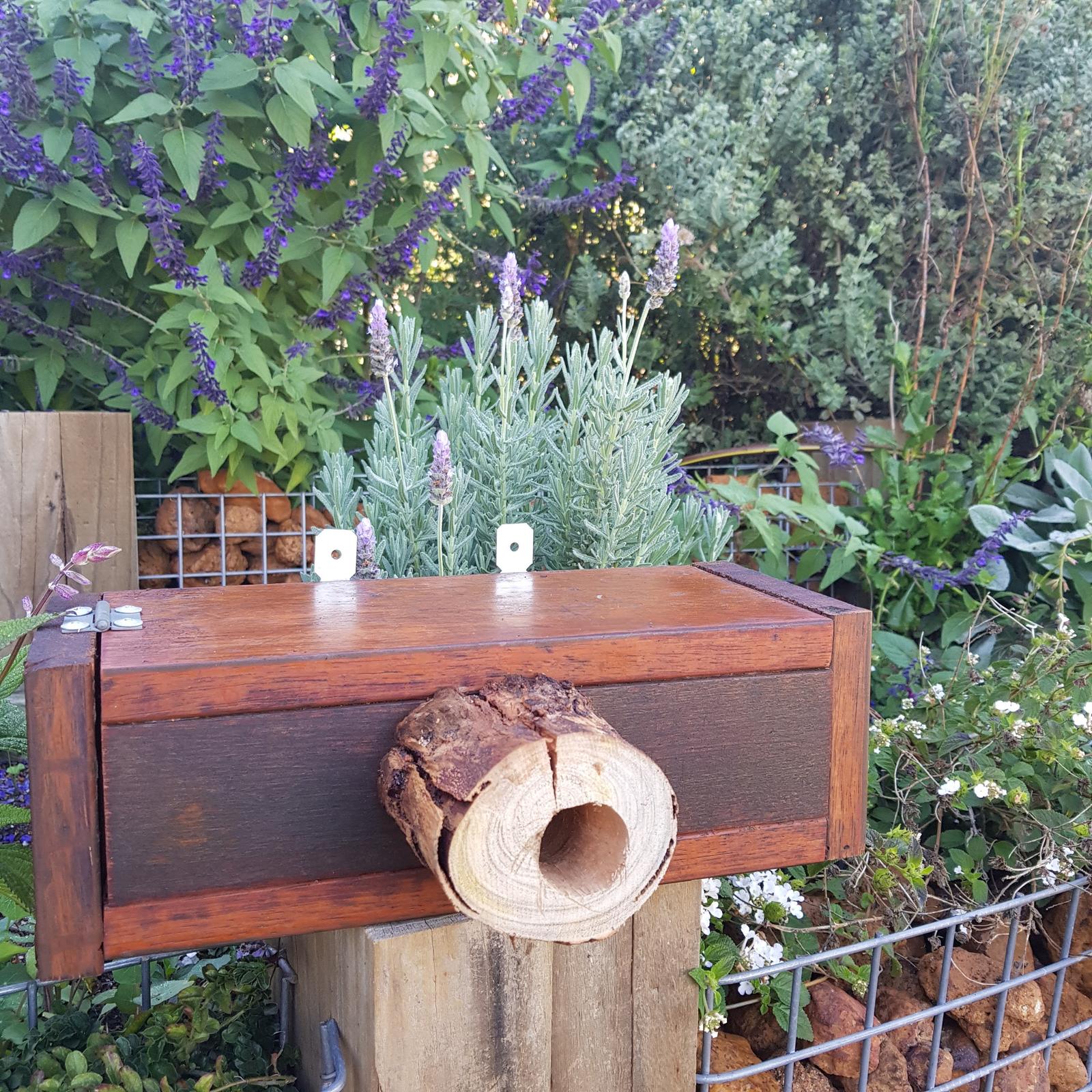 Pardalote Boxes