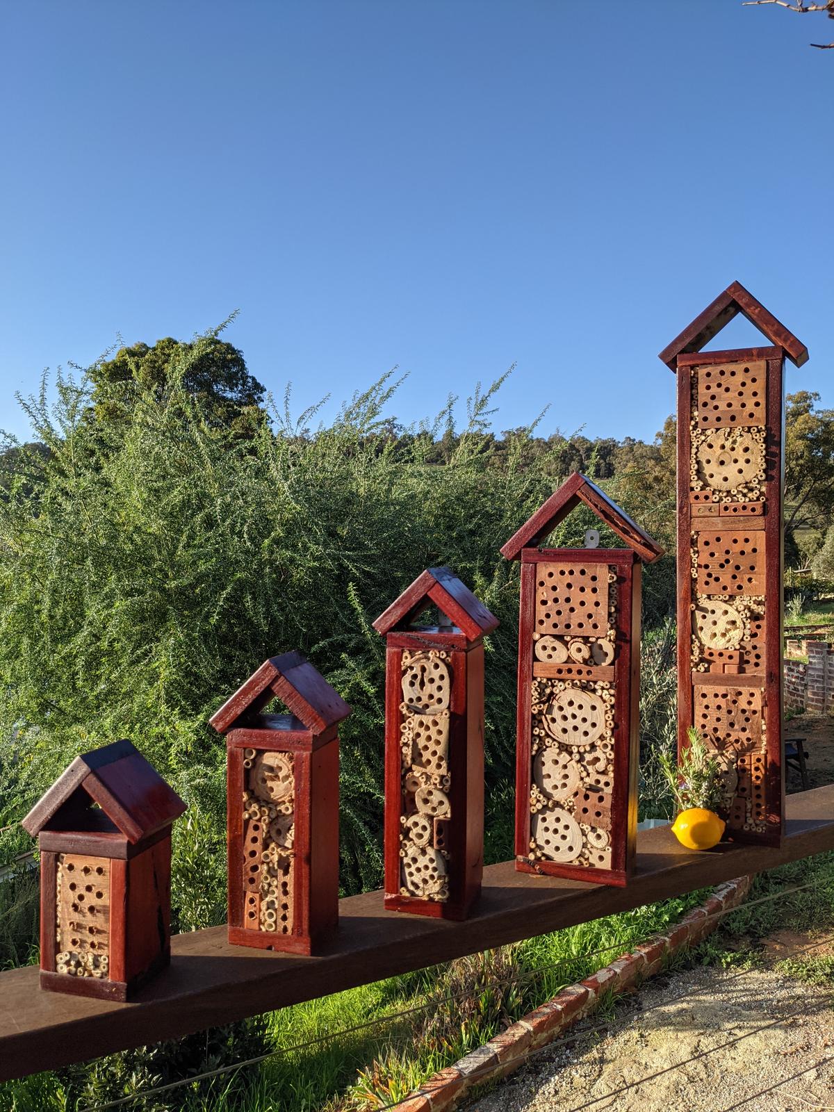 Native Bee Hotels