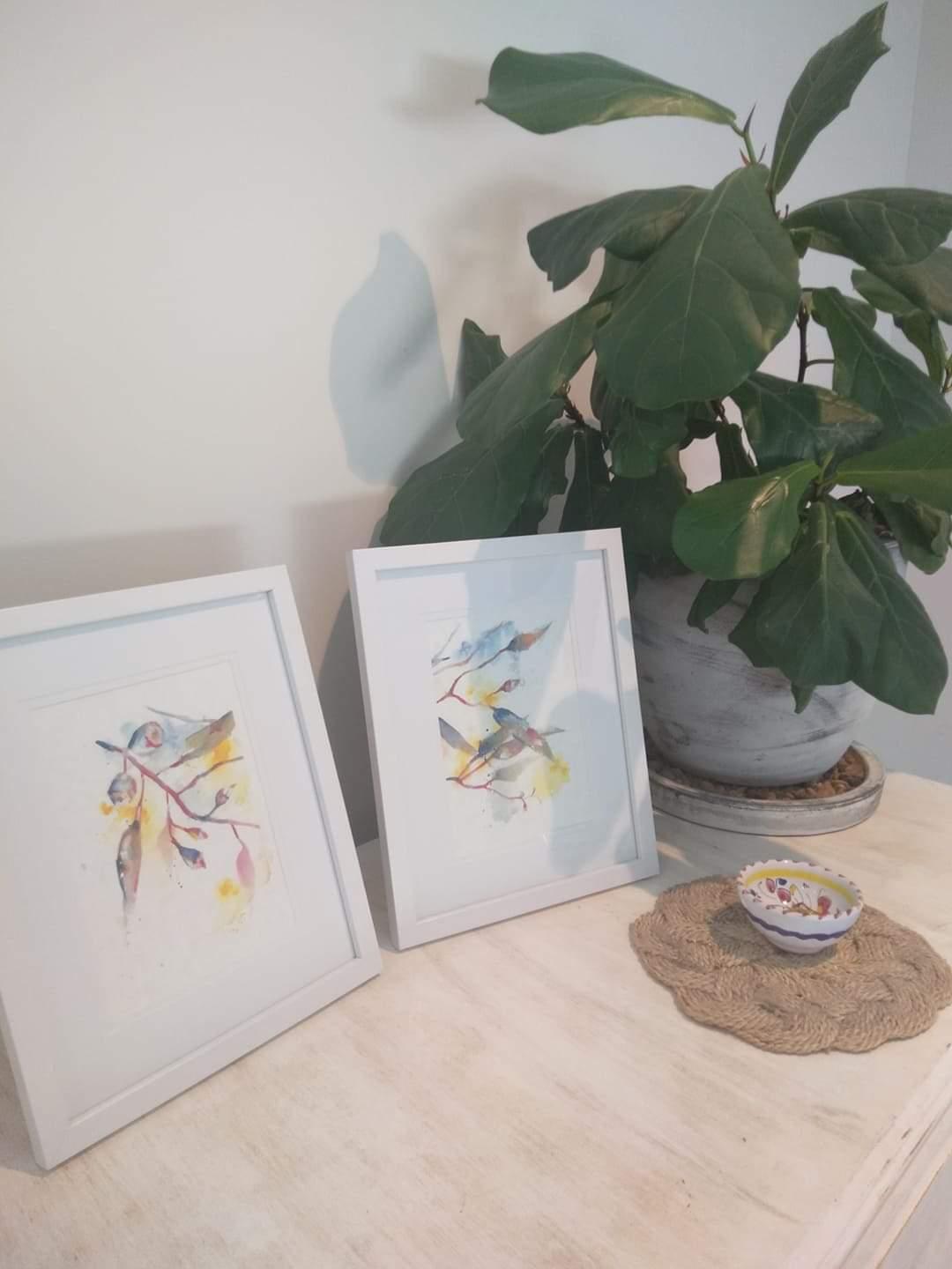 Australian wildflower inspired watercolour framed arts