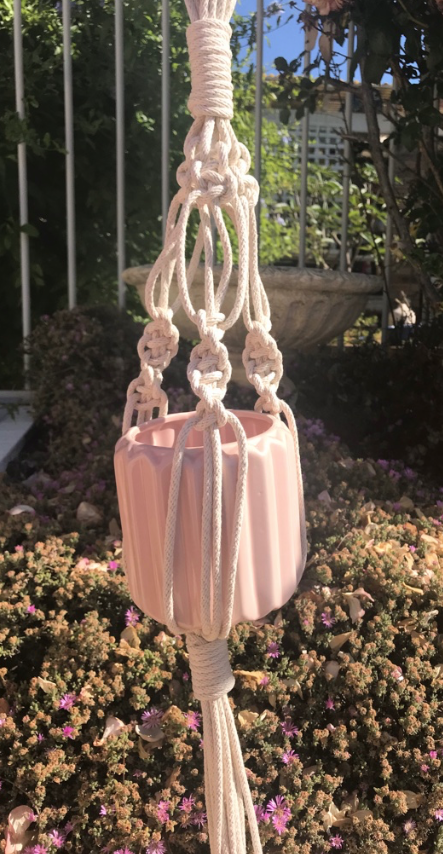 Design - Blush