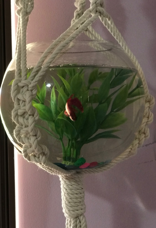 Design - Luna