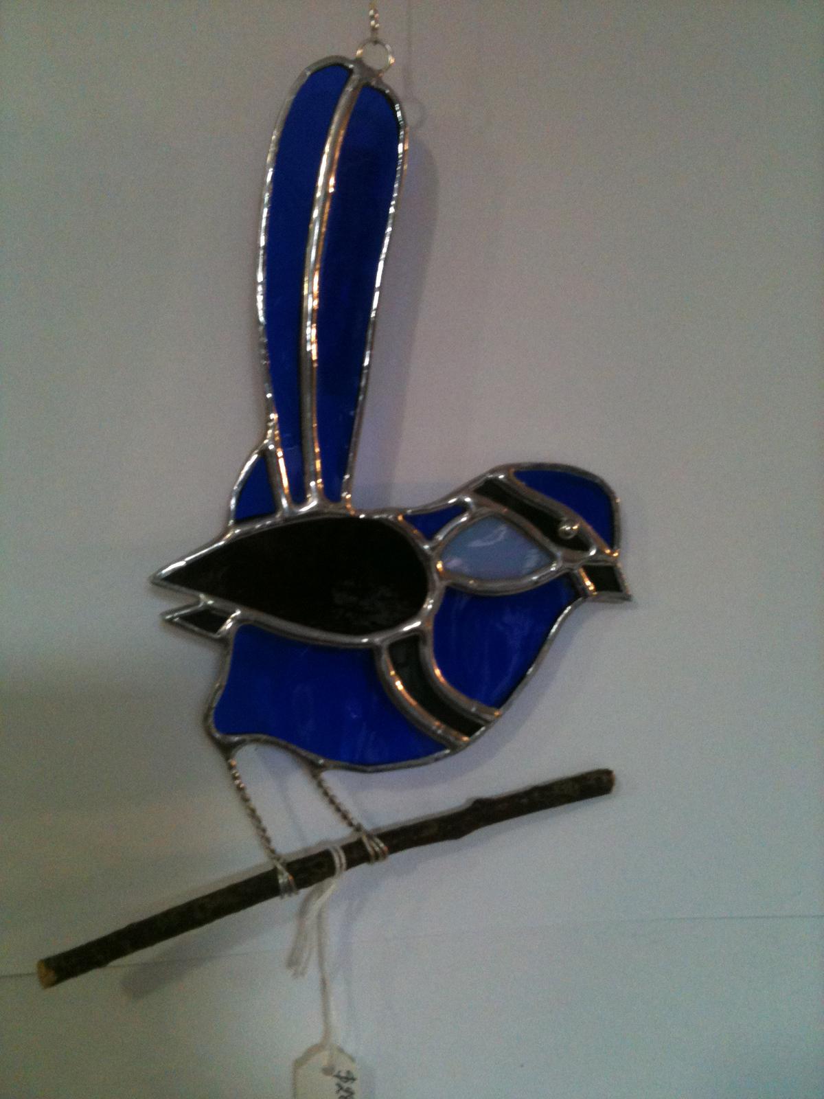 Splendid Wren