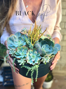 BlackLeaf botanical design