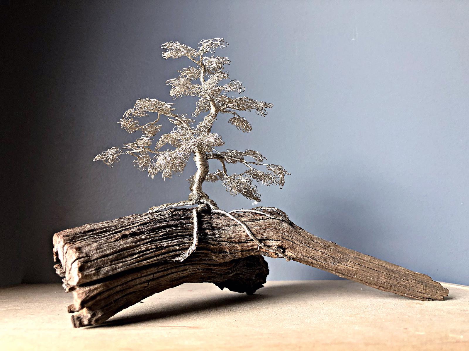 Wire Bonsai Sculpture