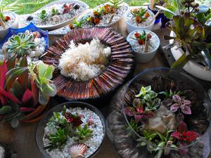Blooming Art
