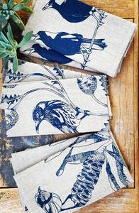 Blue Armadillo Design