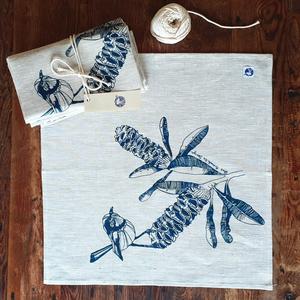 Blue Armadillo Design