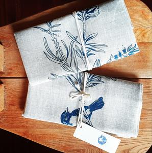 Blue Armadillo Design