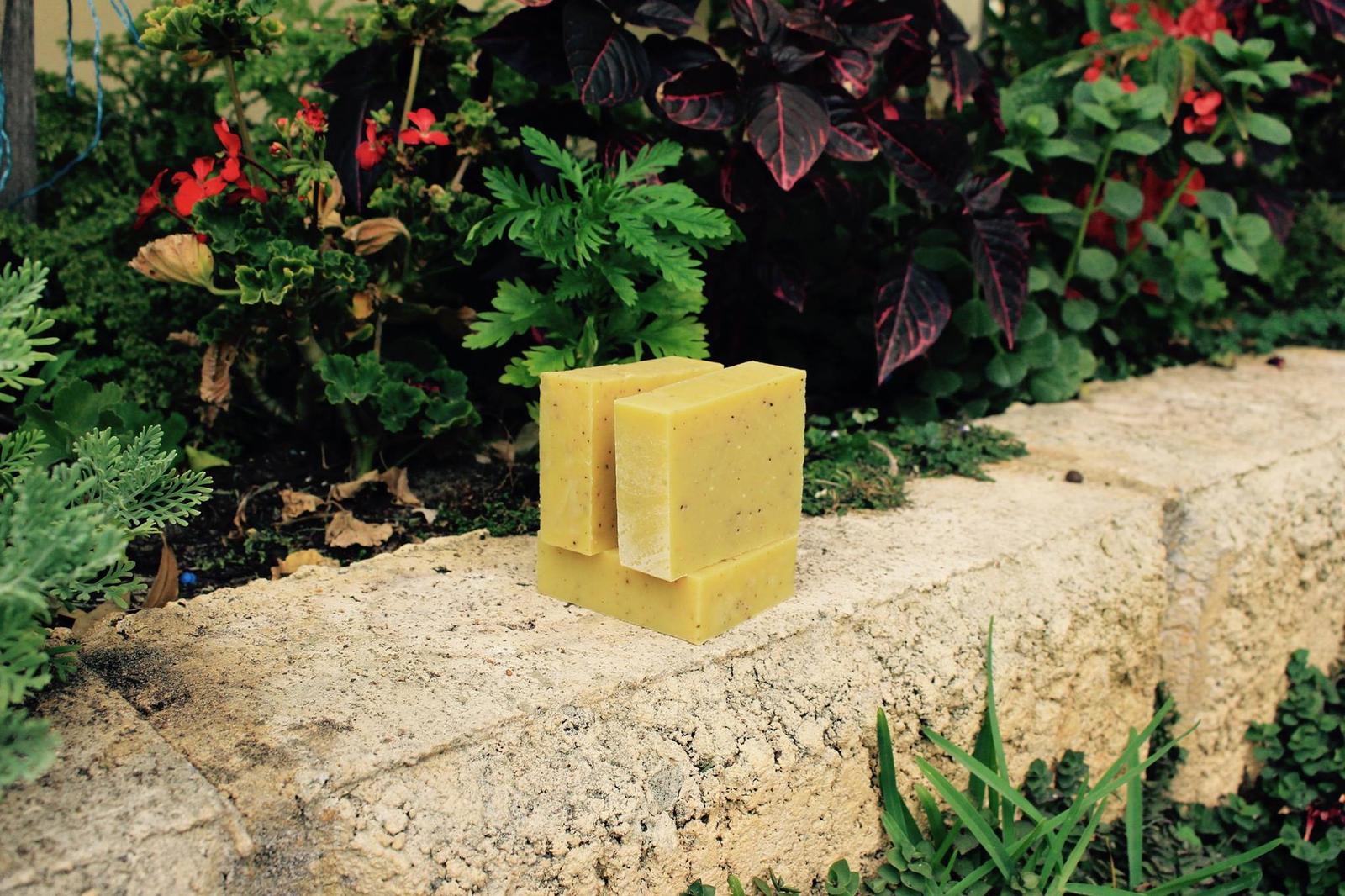 Dog soap