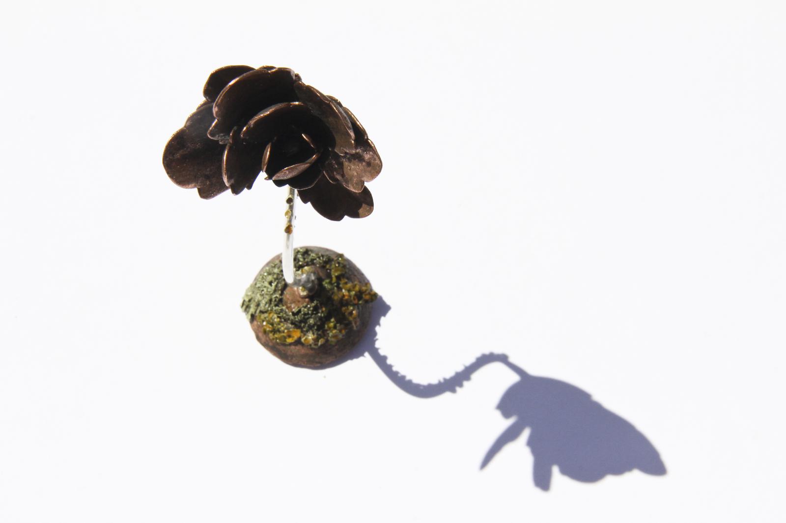 Kalanchoe Succulent with Lichen Object