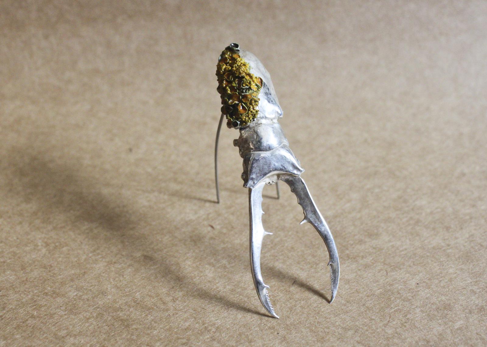 Beetle Brooch