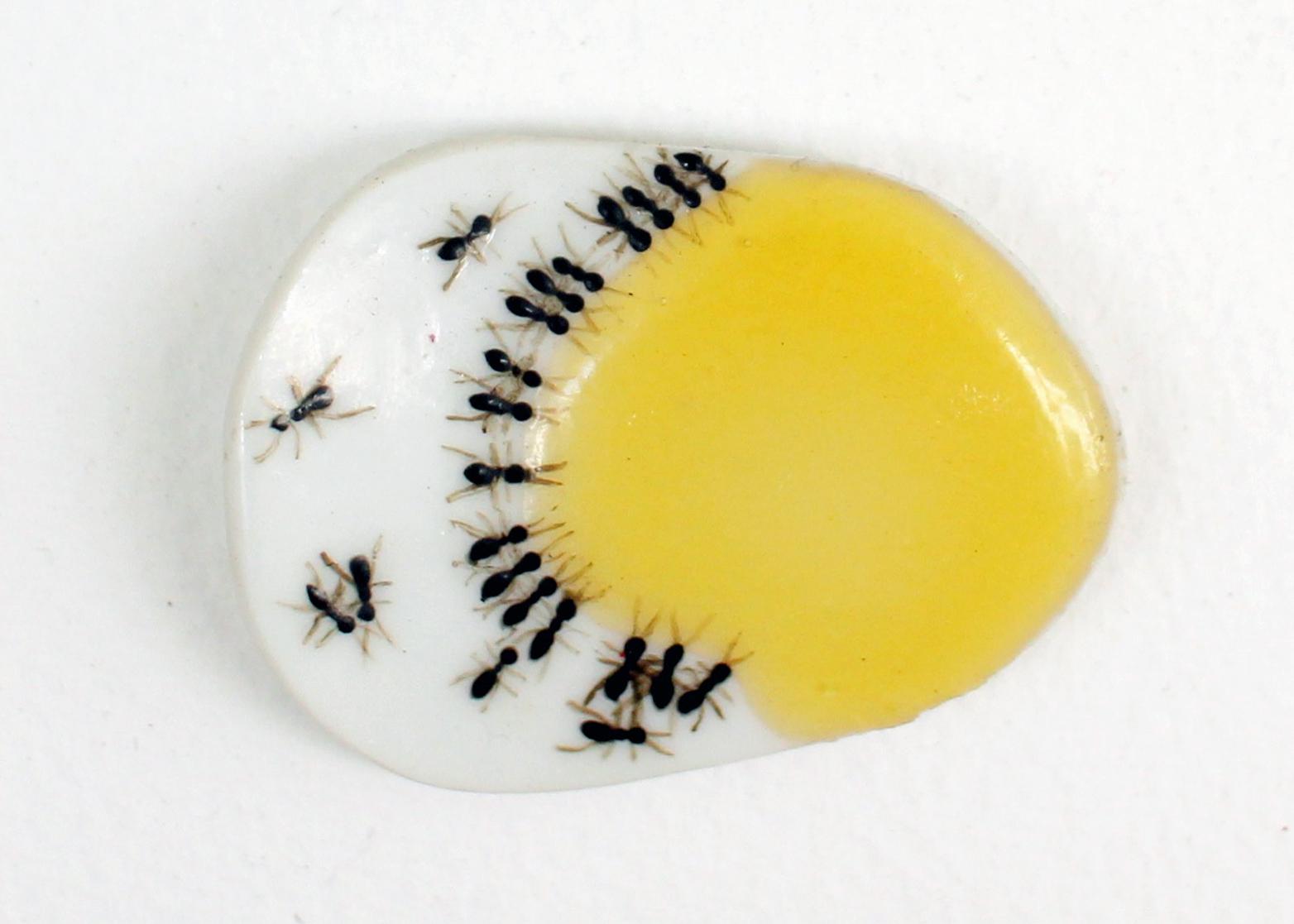 Ceramic Brooch with Handpainted Ant design and tinted resin