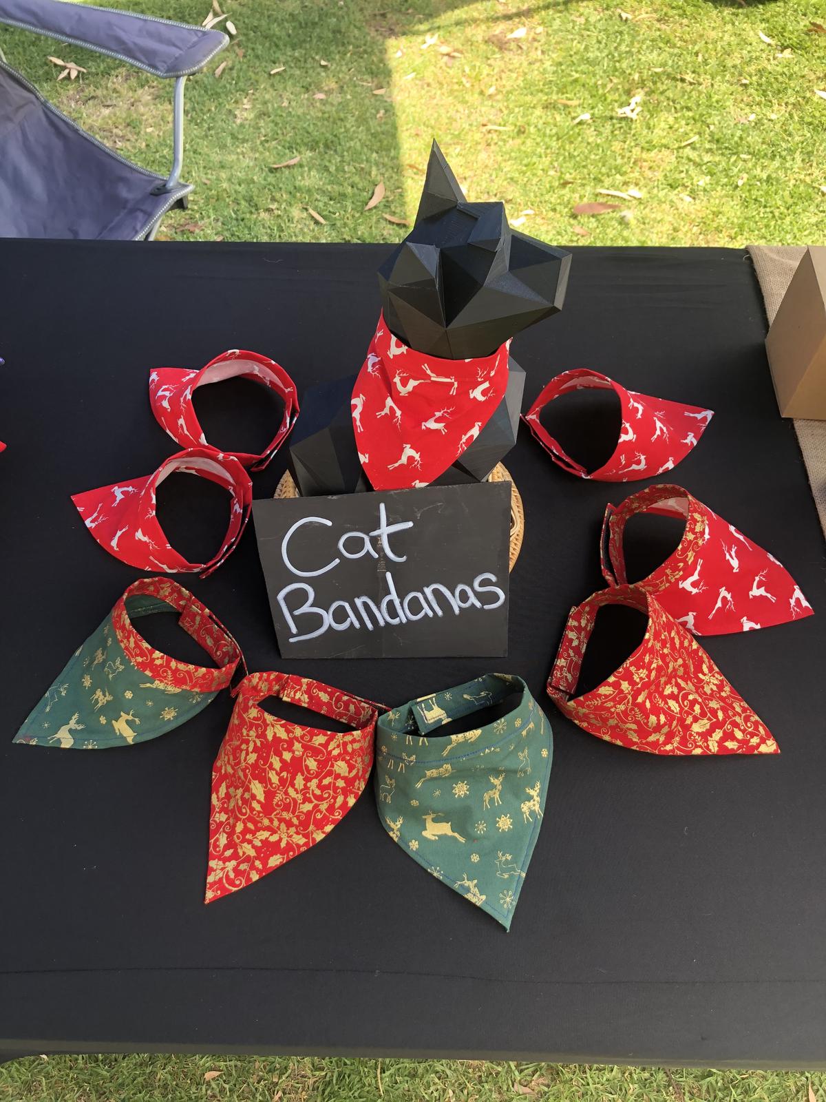 Our Christmas range of Cat attire