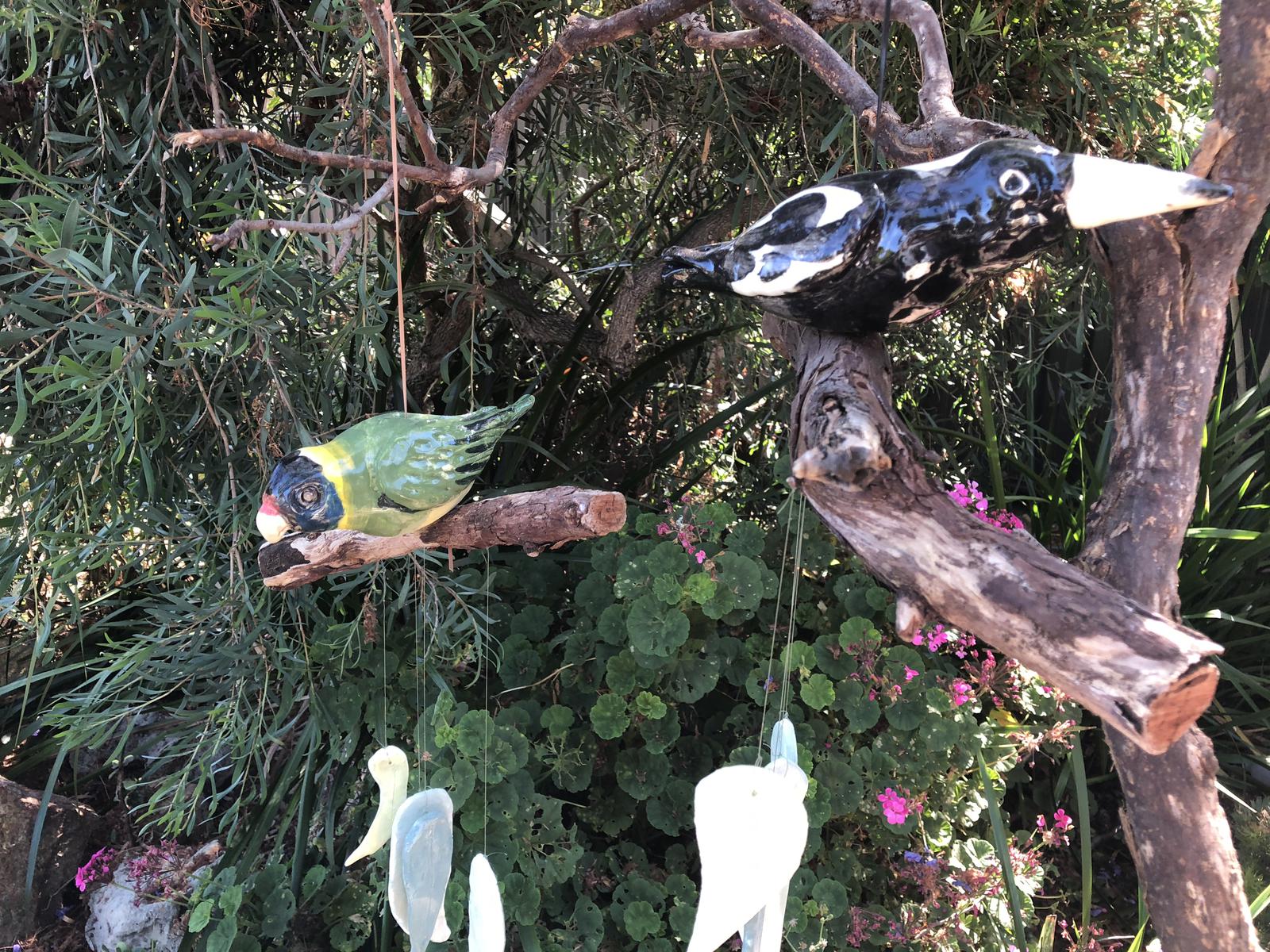 Magpie and Ring neck Parrot Chimes