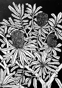 Chappy Prints