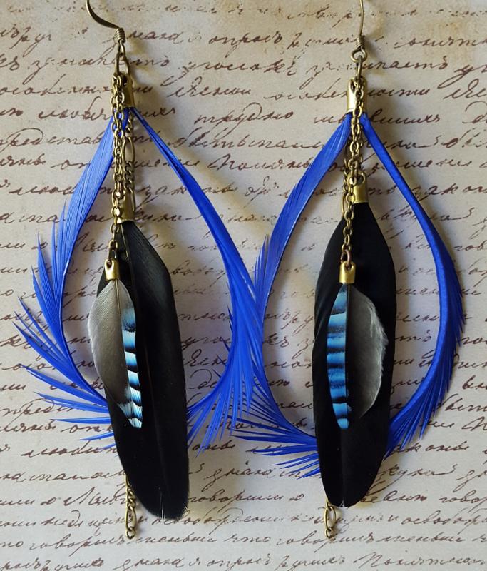Feathers Bluejay