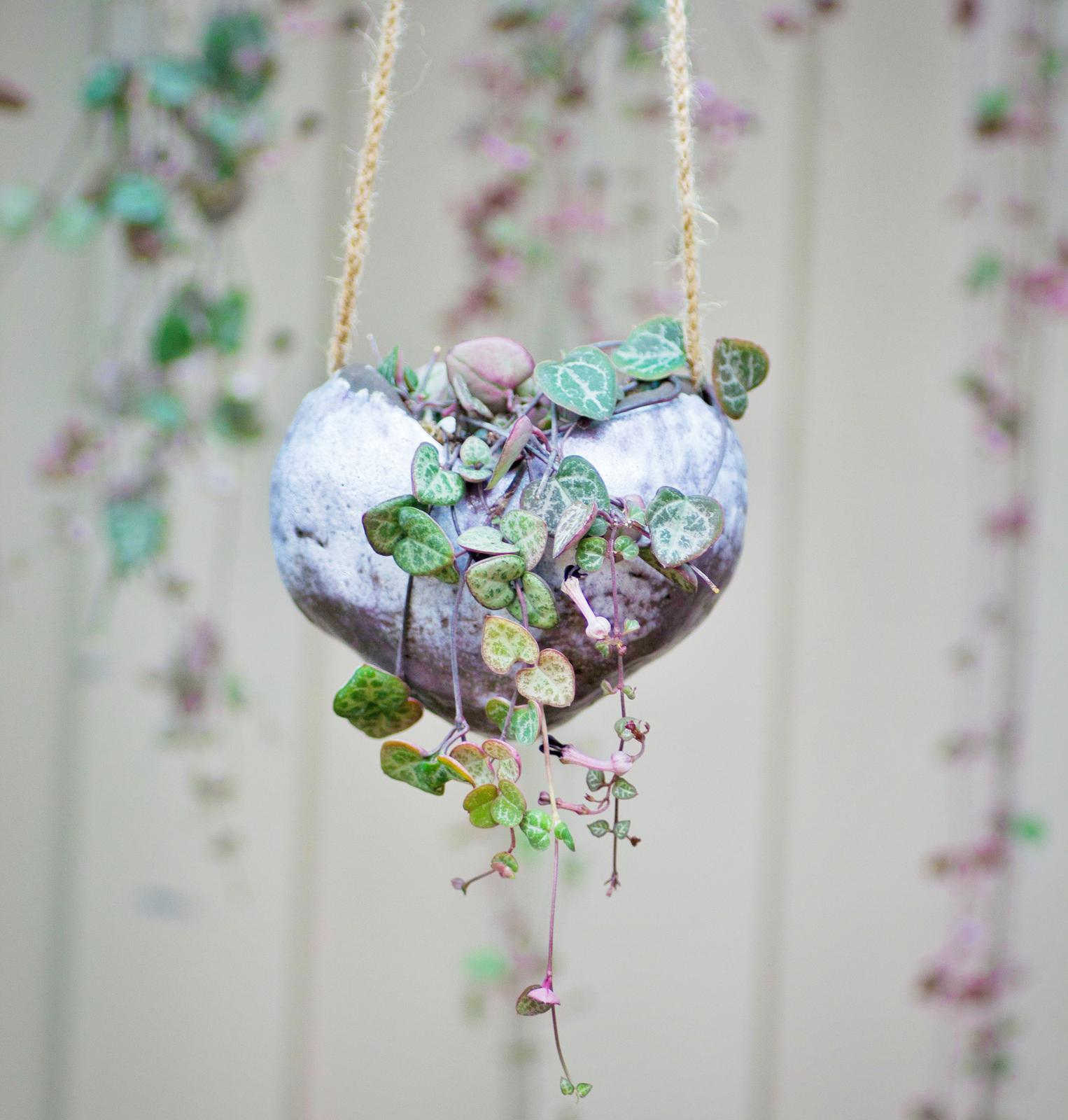 Handmade hanging planter