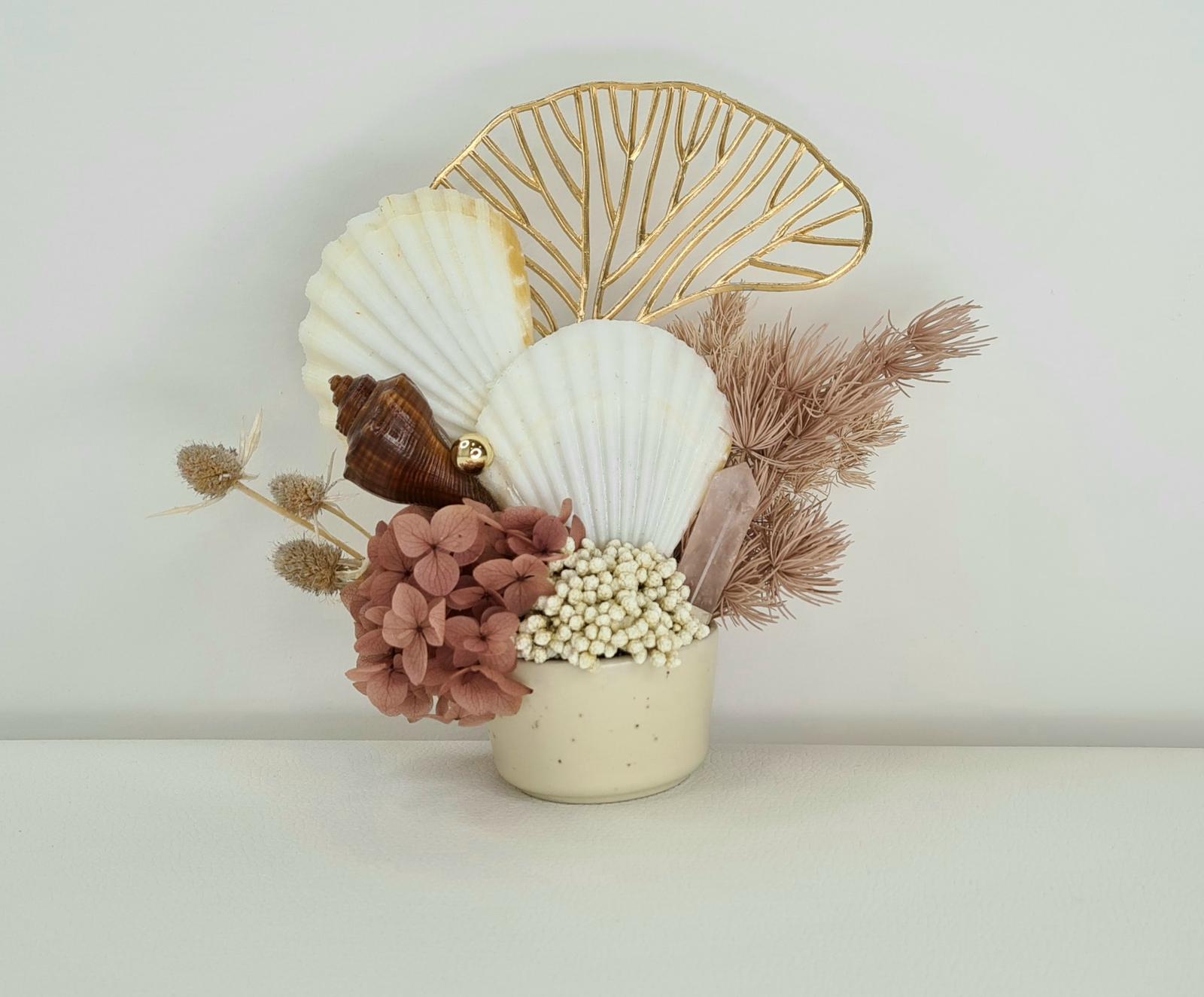 Brown Shell