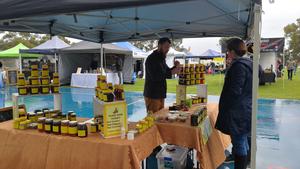 Colmena Honey