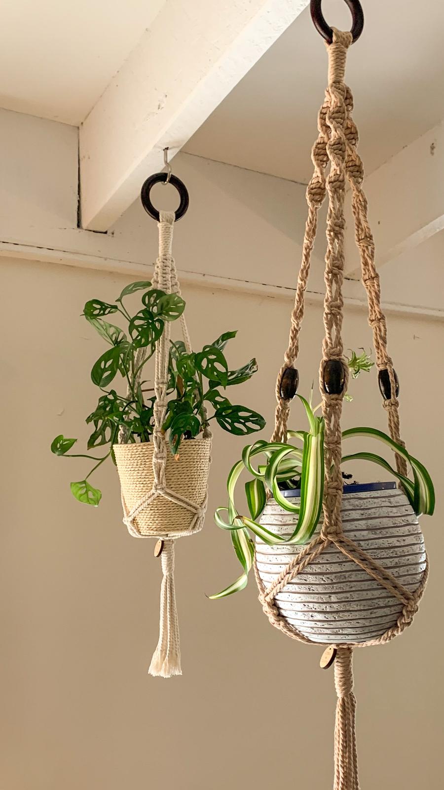 Macramé Plant Hangers