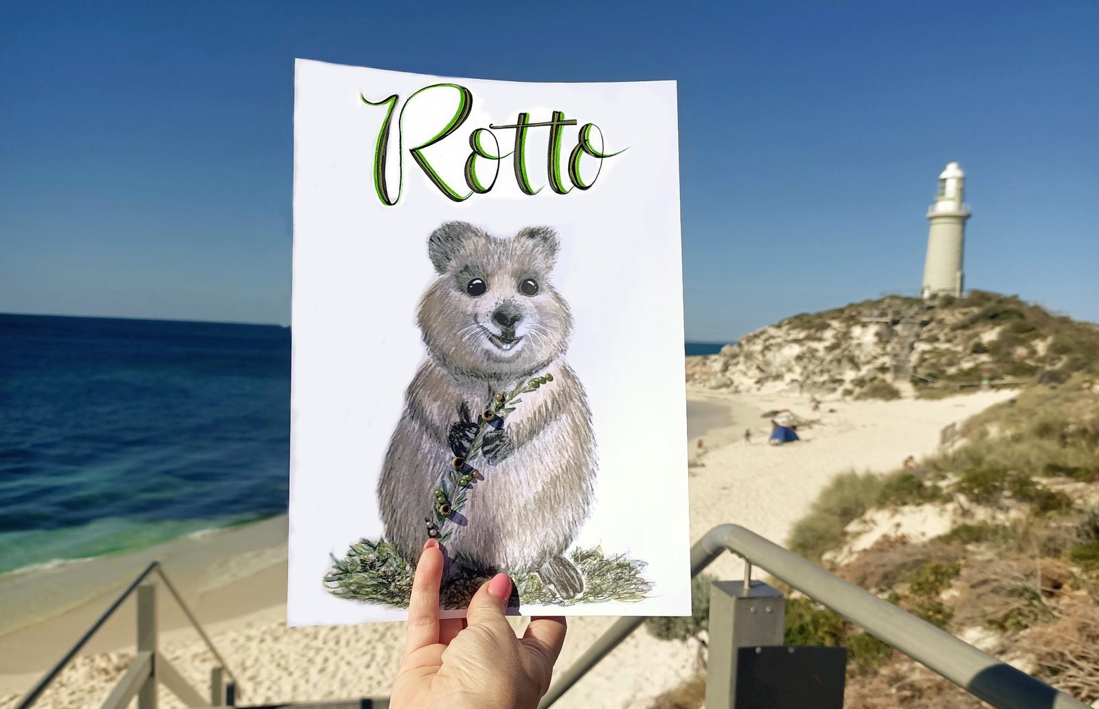 Personalised Quokka