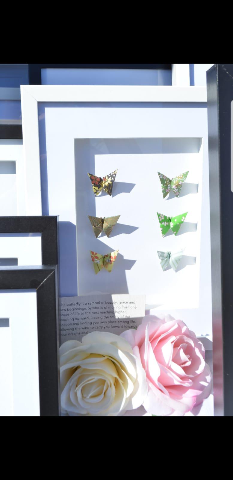 Framed origami art