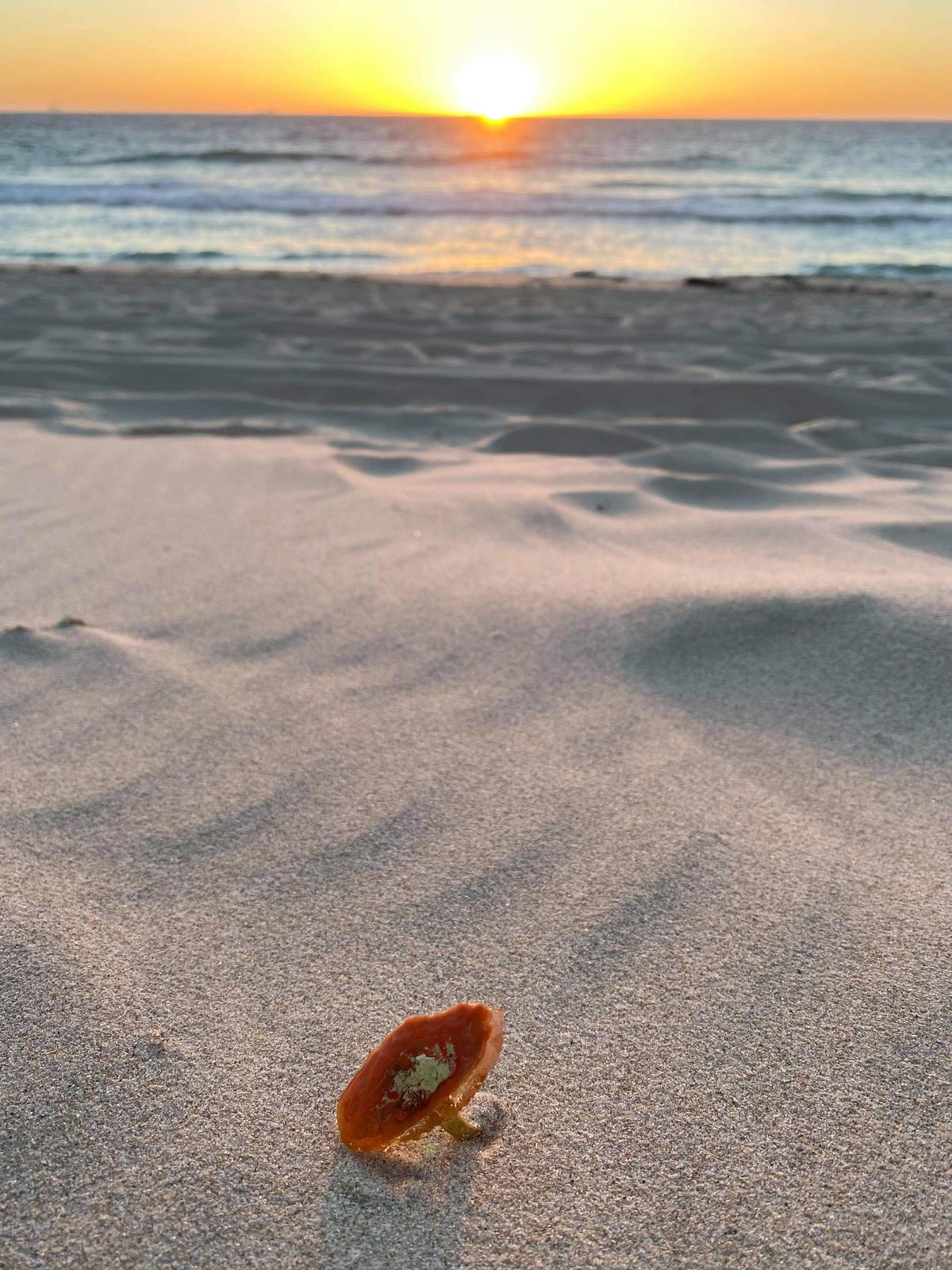 Sunset inspired!