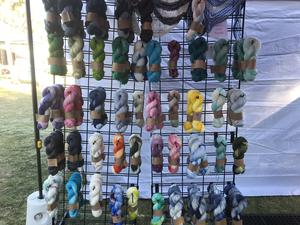 Dyeing 4 Ewe