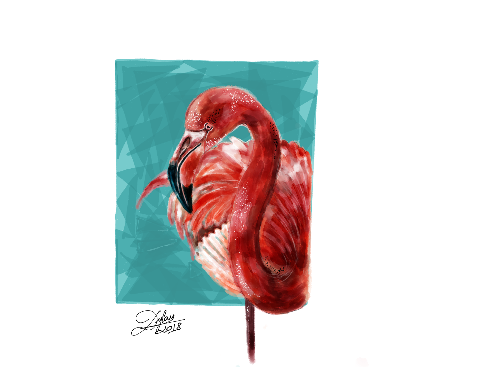 Product Images - Print IMAGE - Australia Humble Animal Art Series - Flamingo