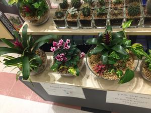E&V Gardens