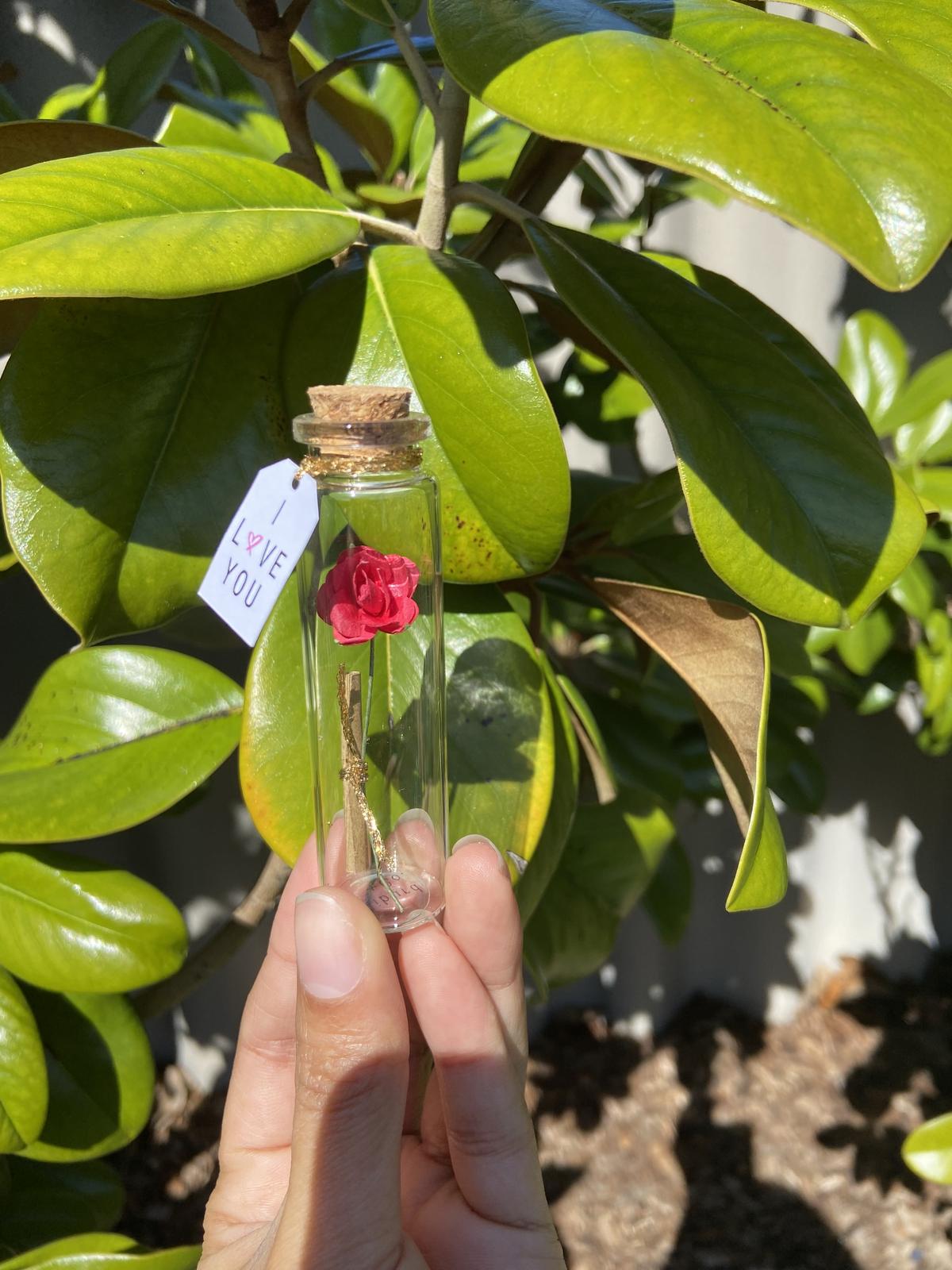 Message in a Bottle - Millie