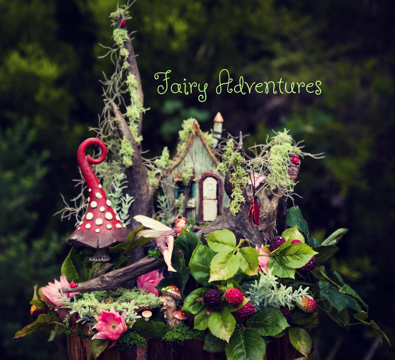 Fairy Gardens