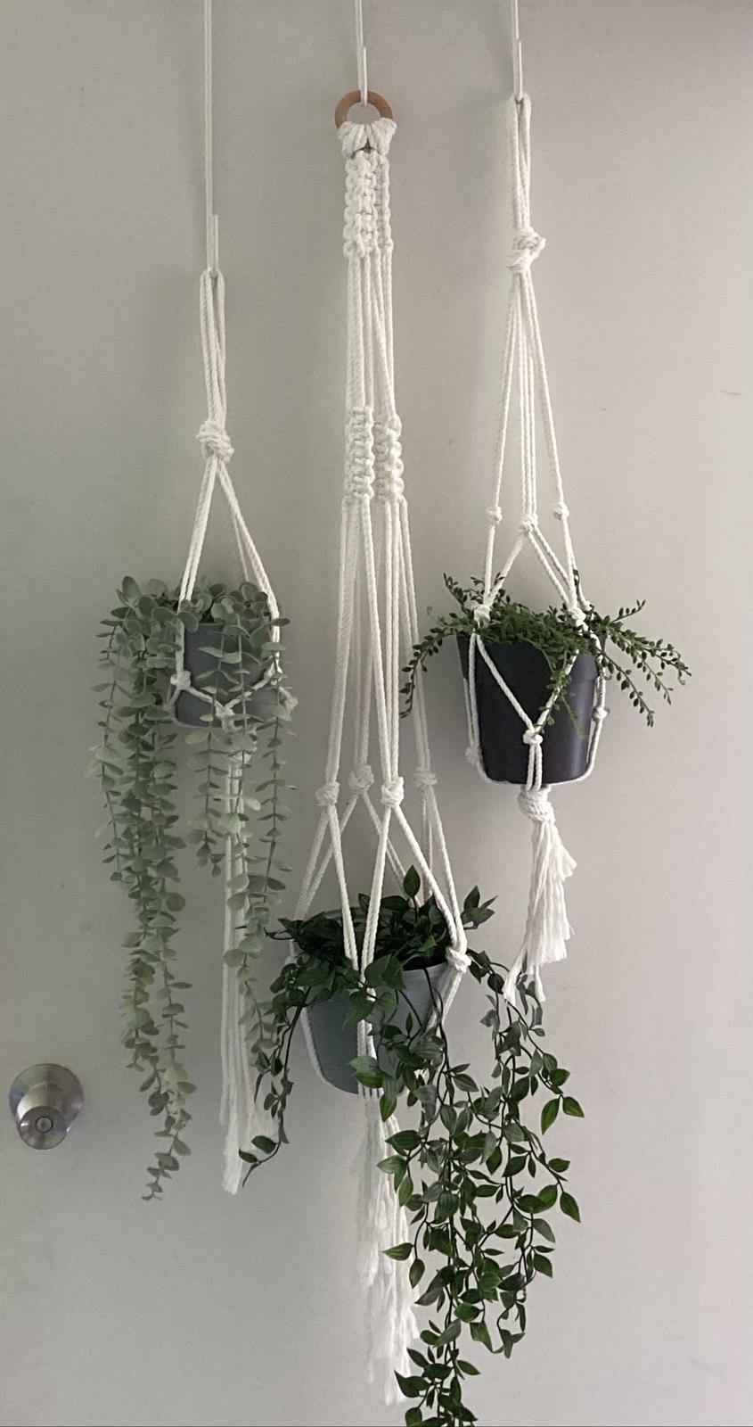 Macrame plant hangers