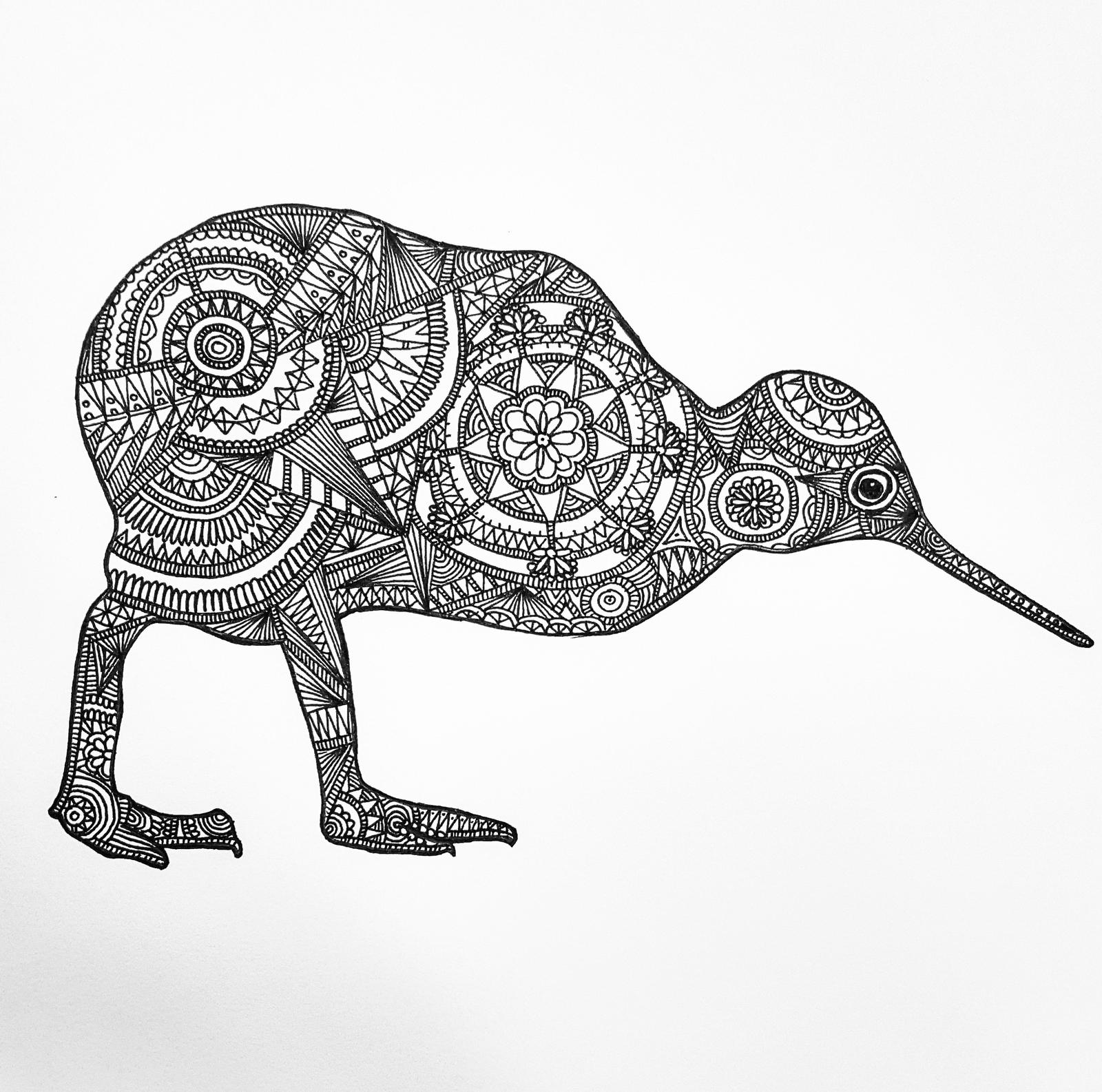 Kiwi Bird