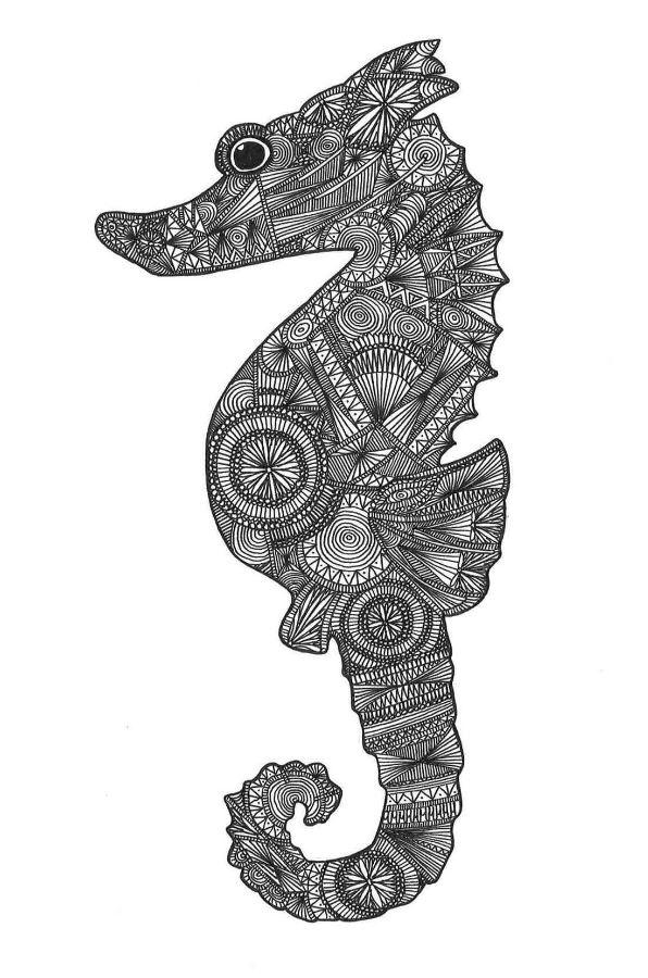 Seahorse