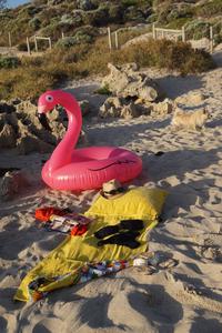 Flamingo Designs