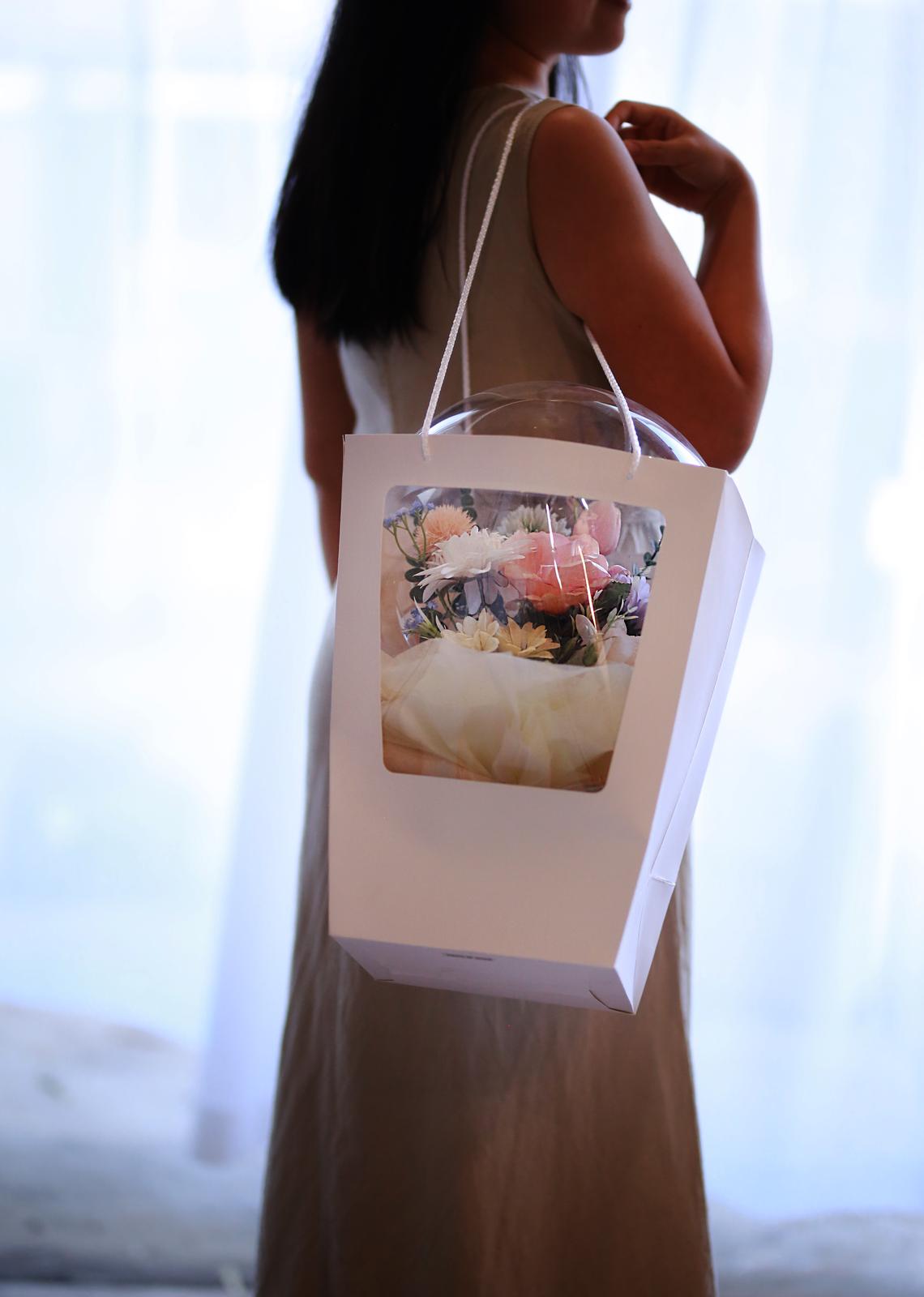 carry bag