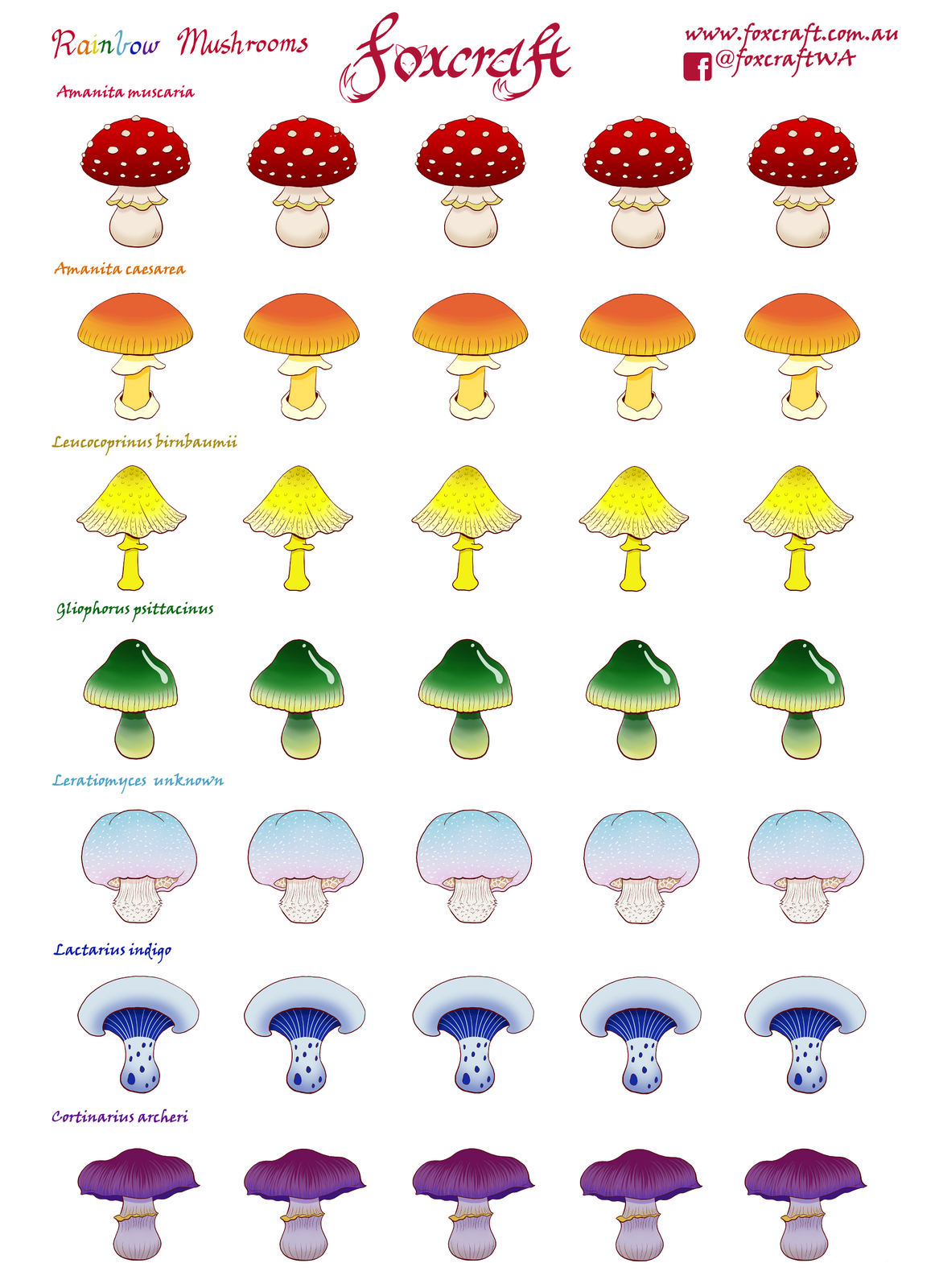 Rainbow Mushroom Stickers