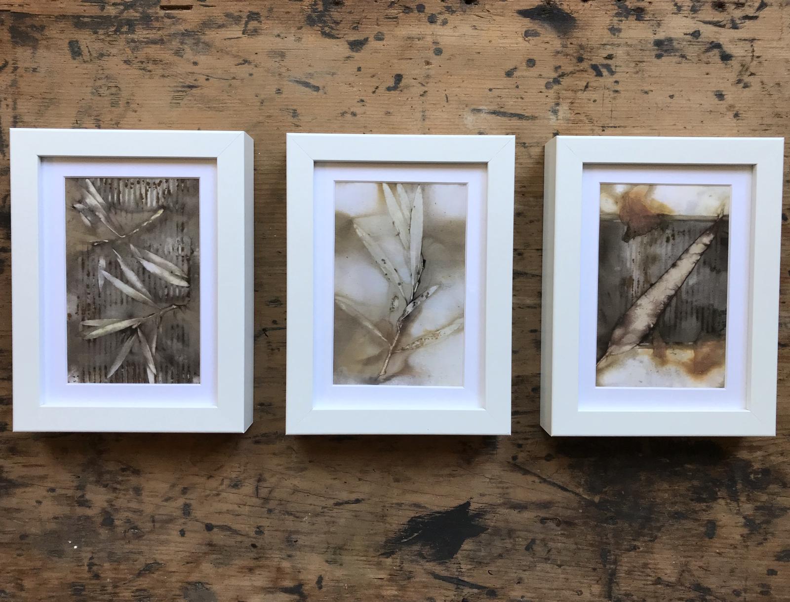 Eco prints