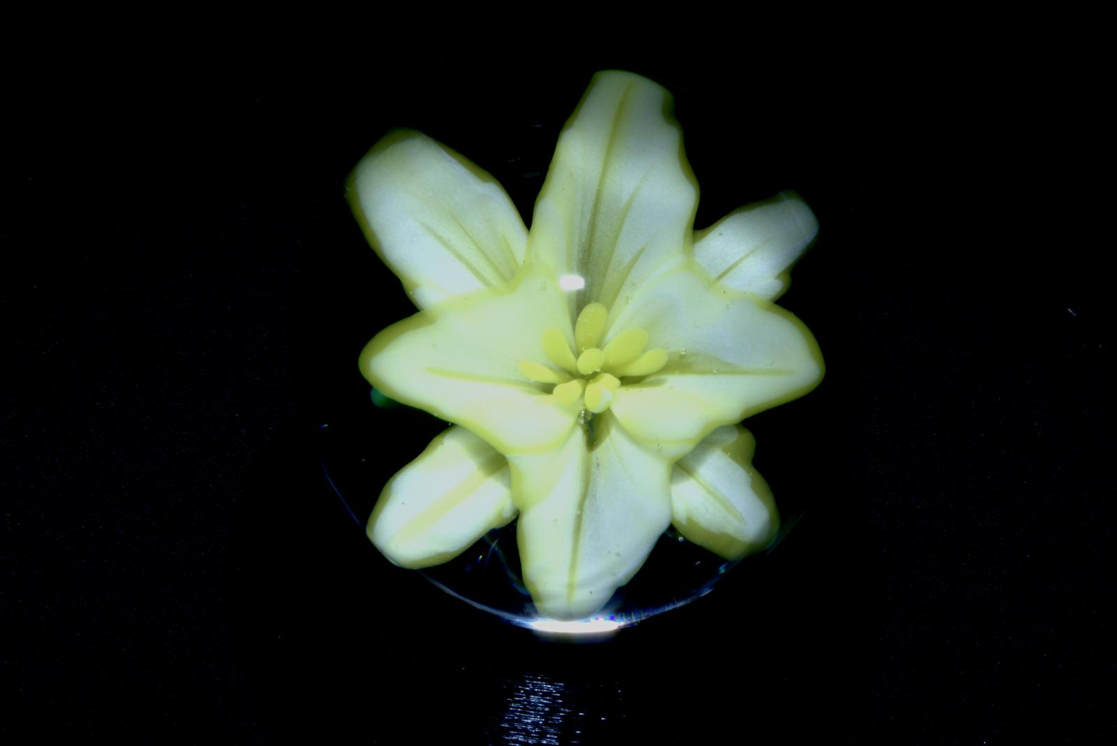 Flower marble