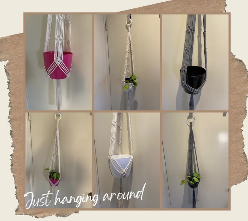 Just hanging around