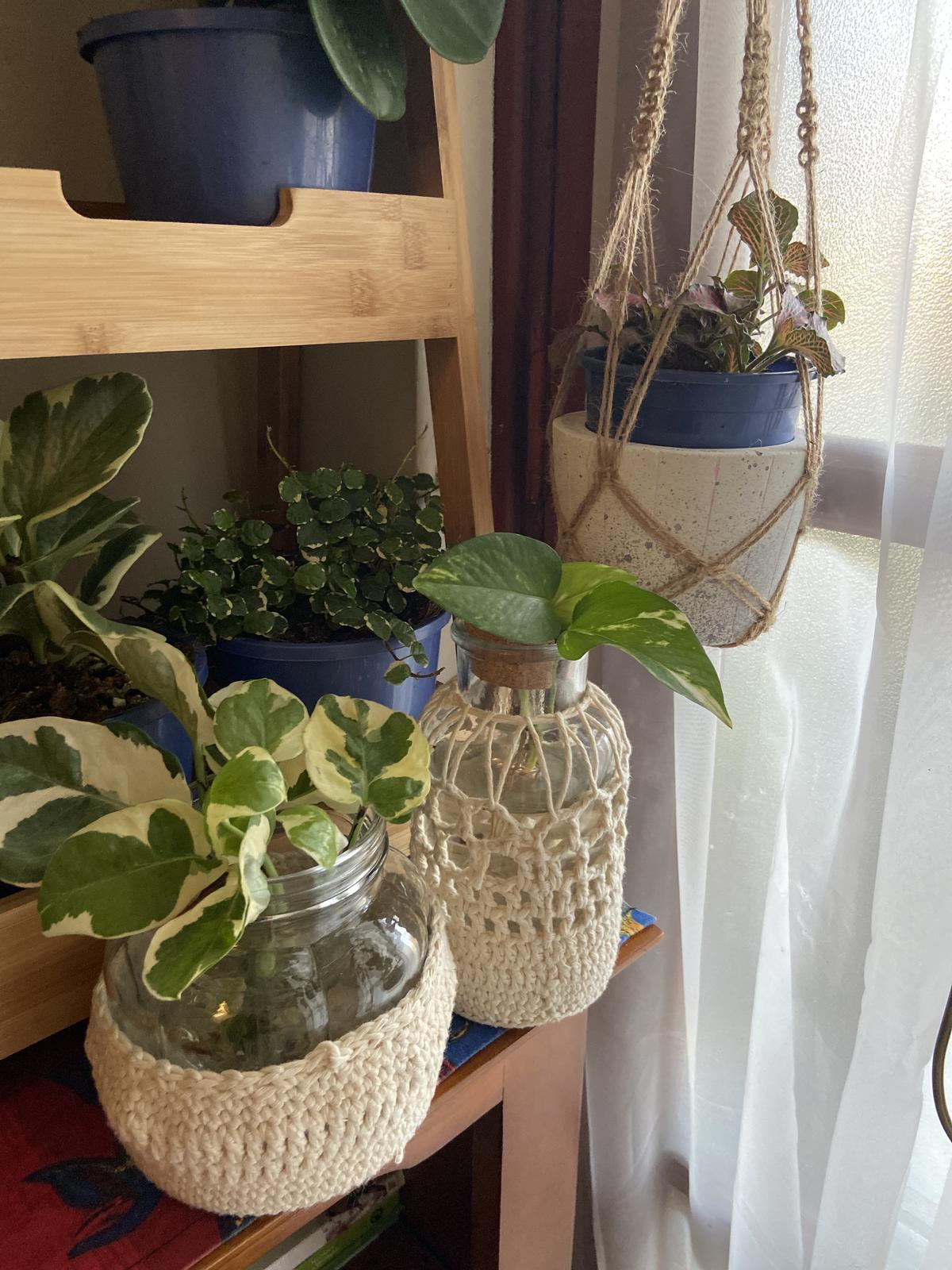 Green Daysy’s - macrame and crochet plant decor