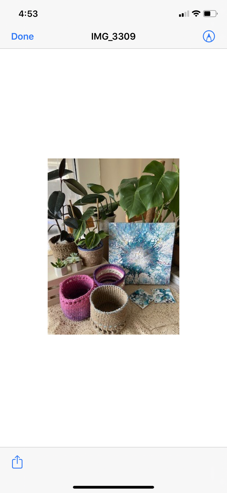 Green Daysy’s - plants, plant accessories and original art