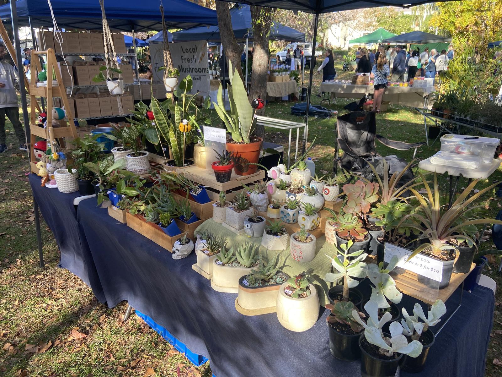 Market Day
