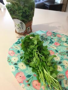 hachi wraps