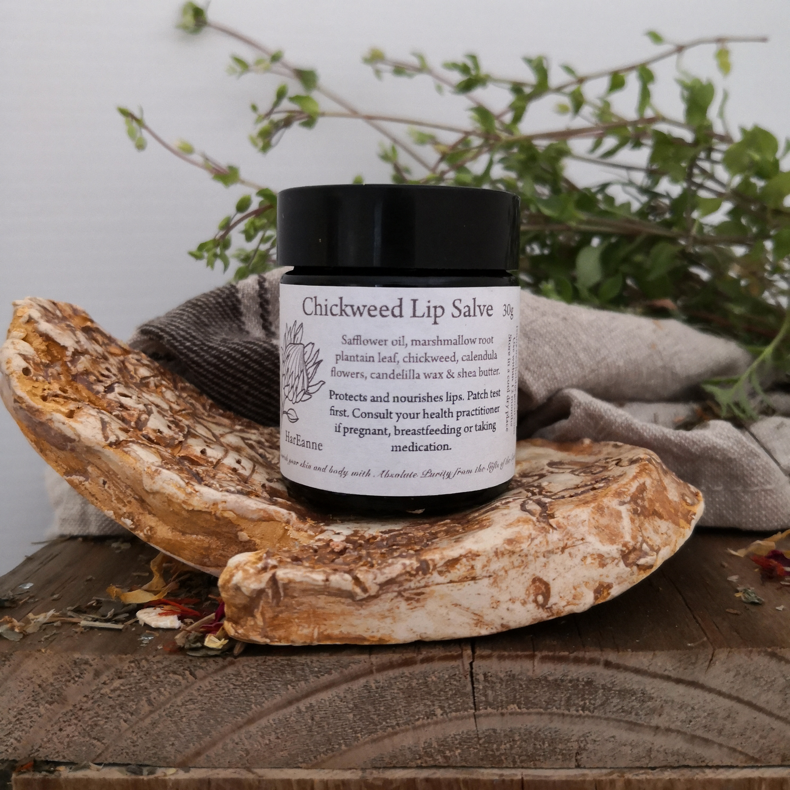 Chickweed Lip Salve