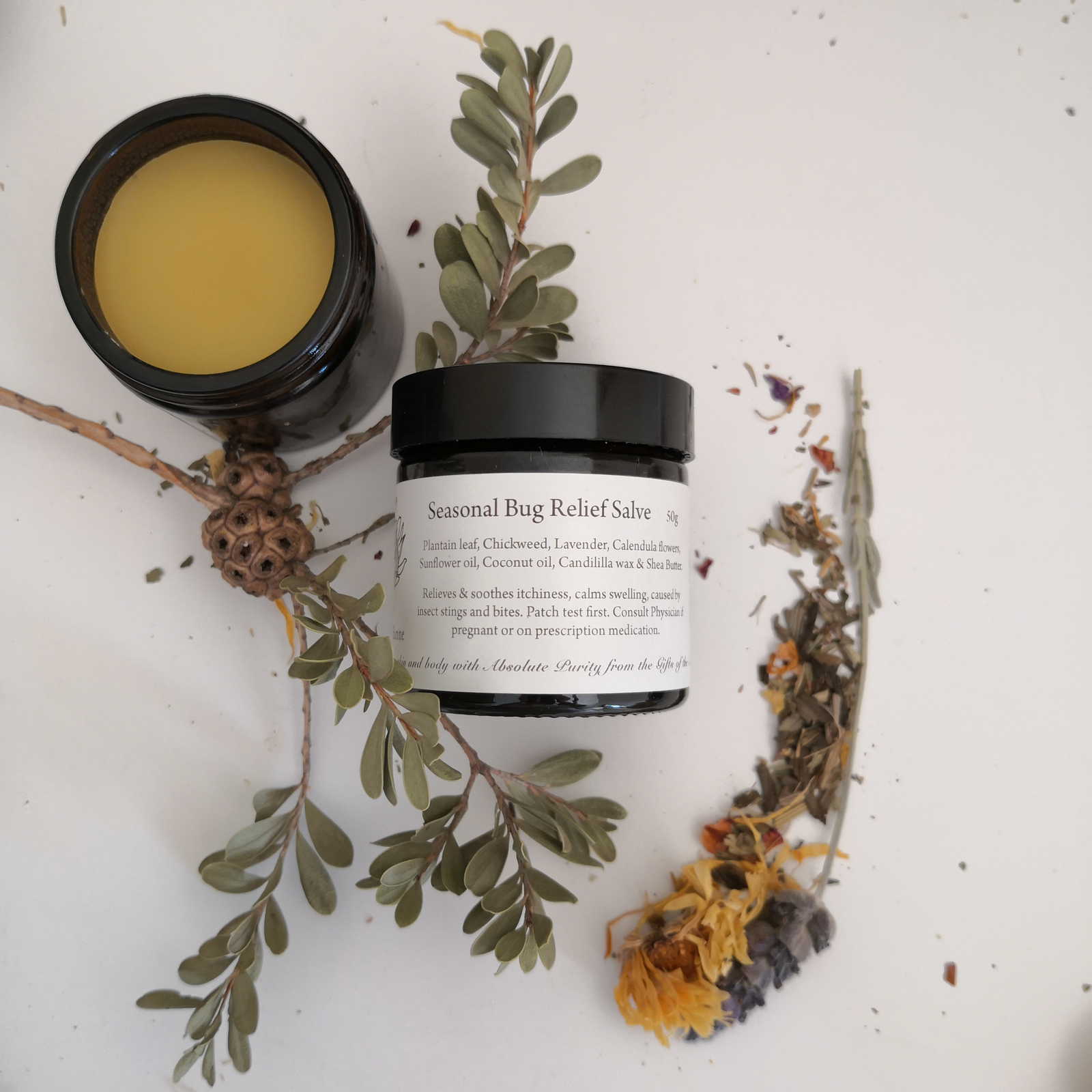 Seasonal bug relief salve