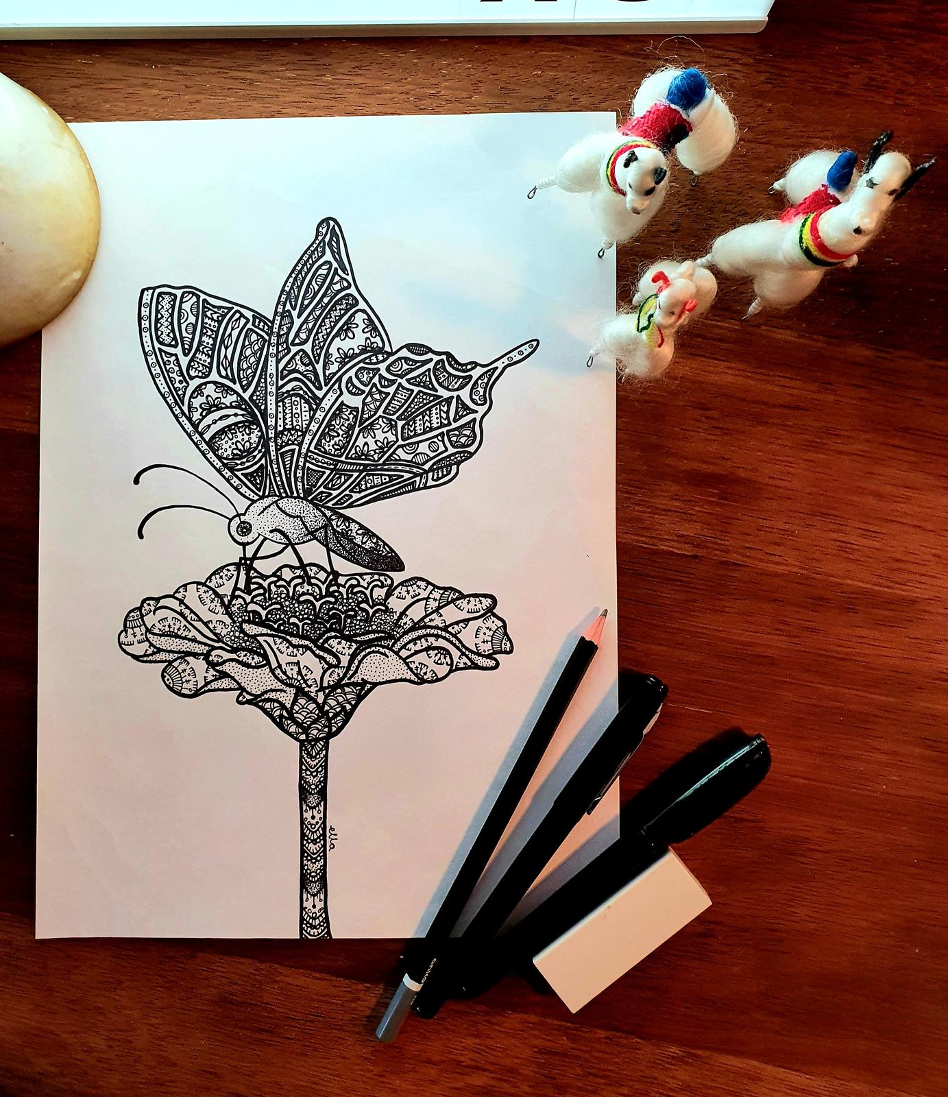 Doris the Butterfly